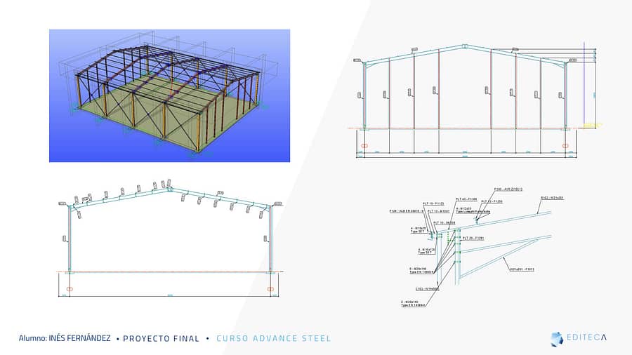 Curso Advance steel